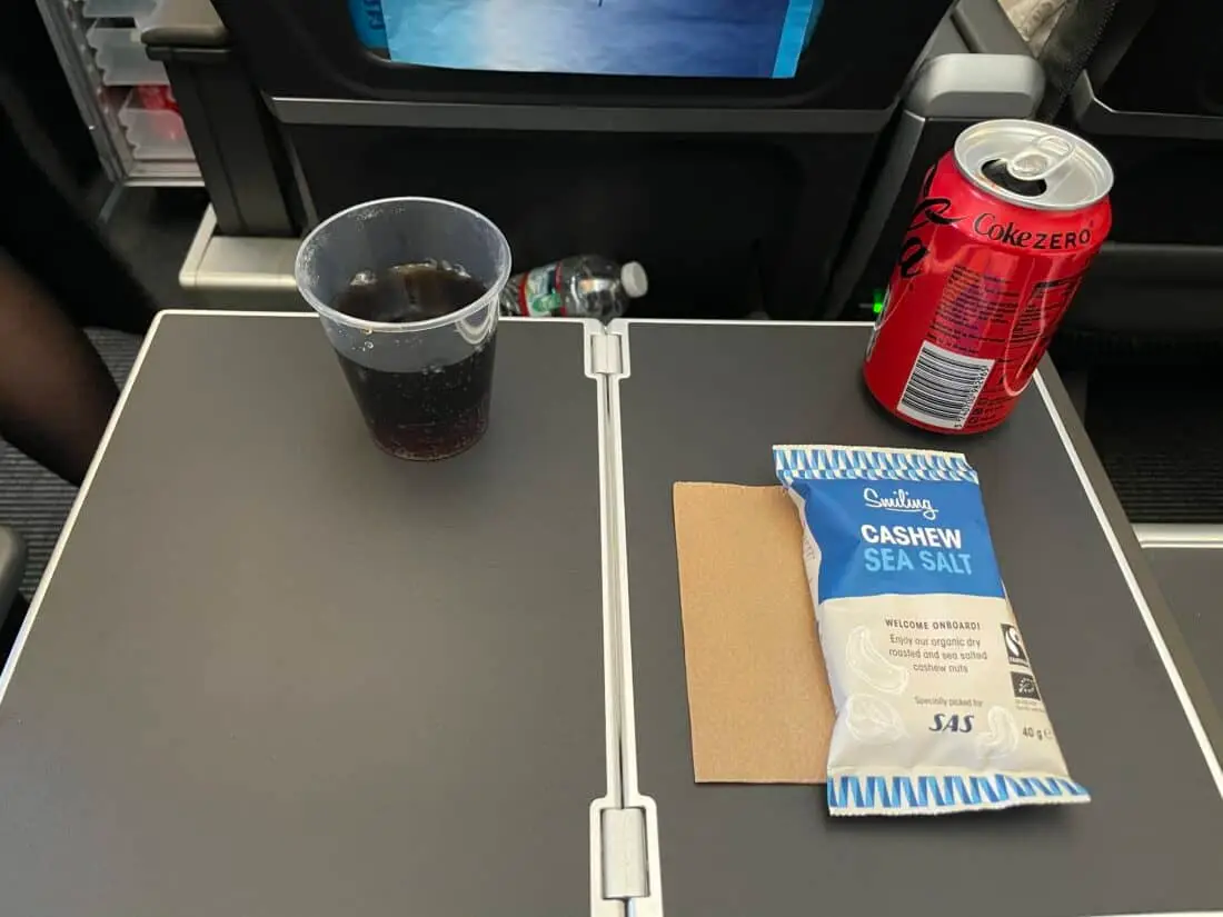 SAS Premium Economy LAX CPH Review Starter