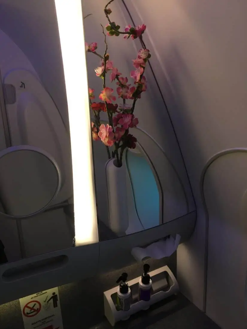 AeroMexico Business Class 788 Waschraum