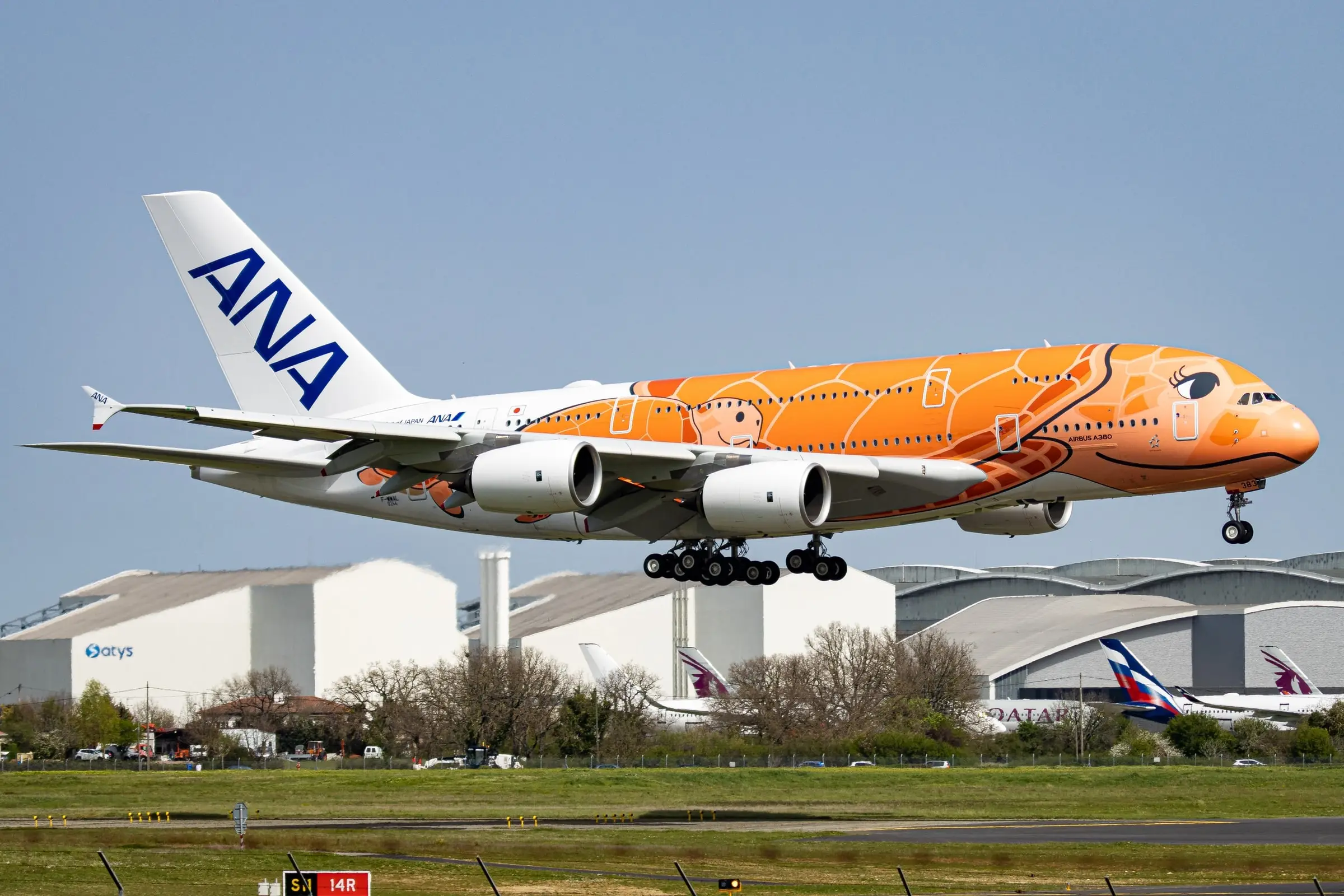 ANA A380 Flying Honu