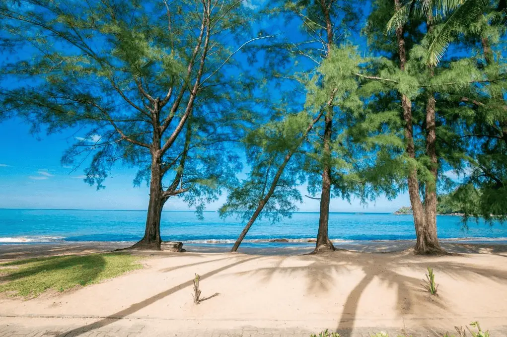 The Anda Mani Khaolak Beachfront Villas Beach