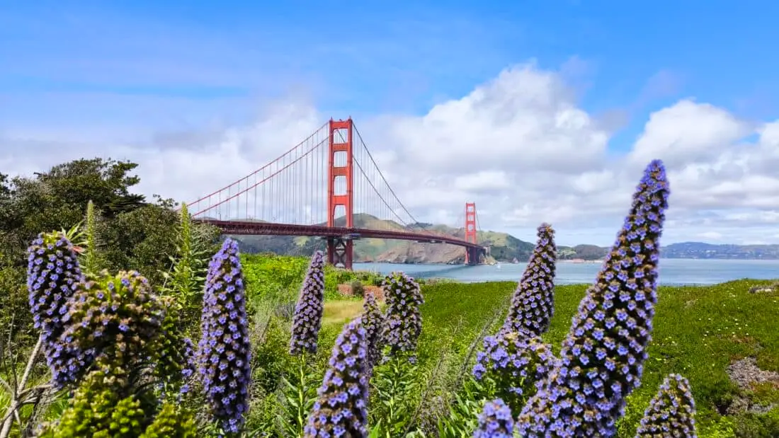San Francisco Golden Gate Bridge