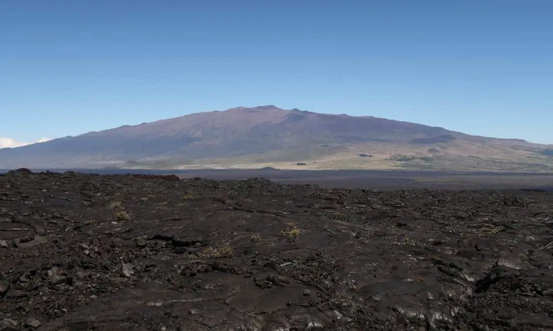 big island 4