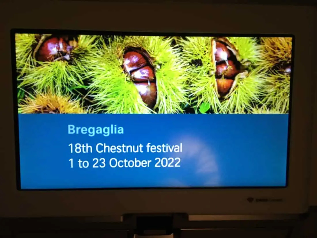 Swiss Premium Economy Chestnut Festival