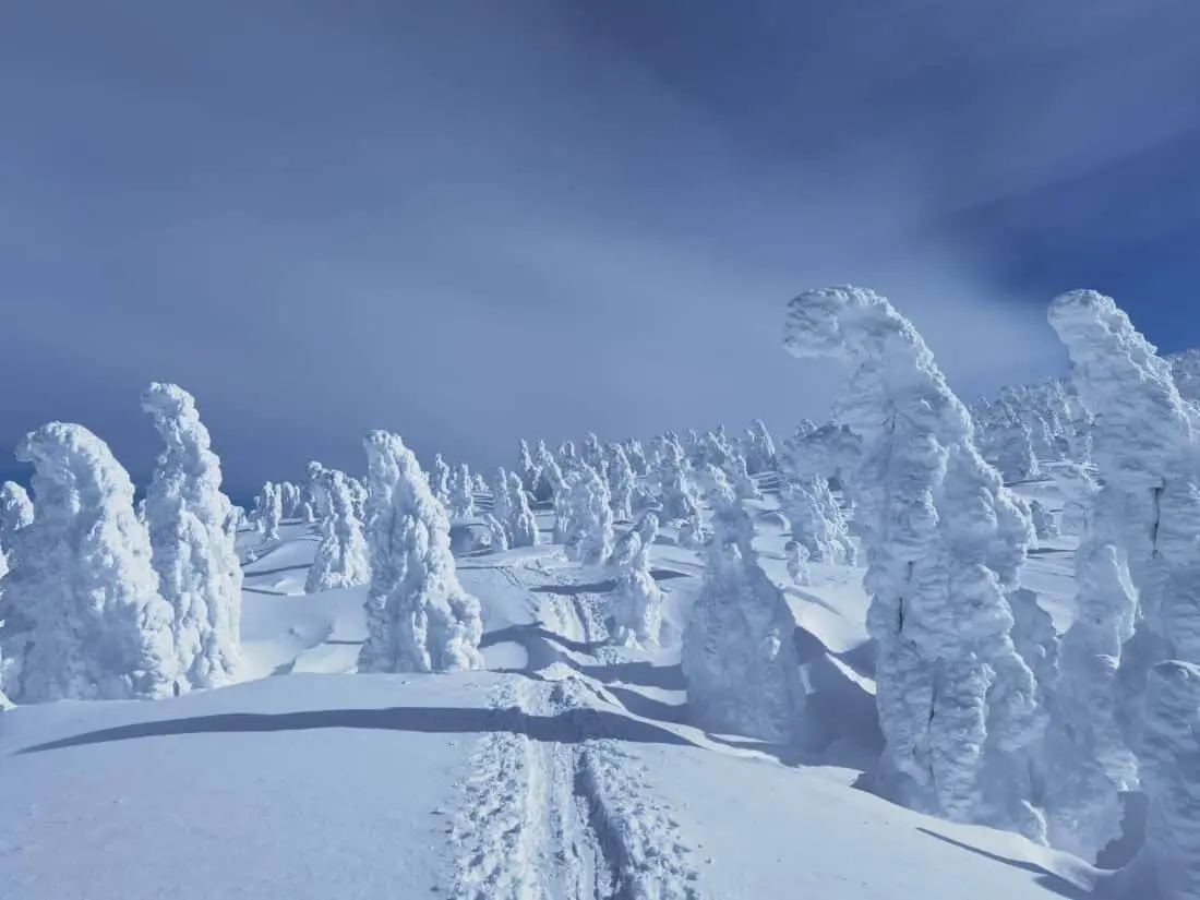 Schneemonster Japan