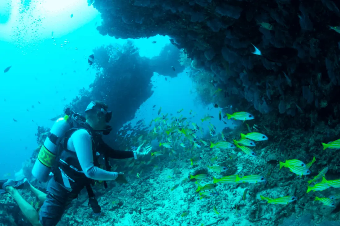 OUTRIGGER Maldives Diving