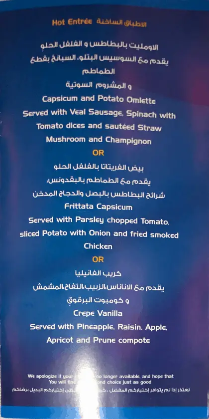 Bewertung EgyptAir Business Class A330 BKK CAI Menu 7