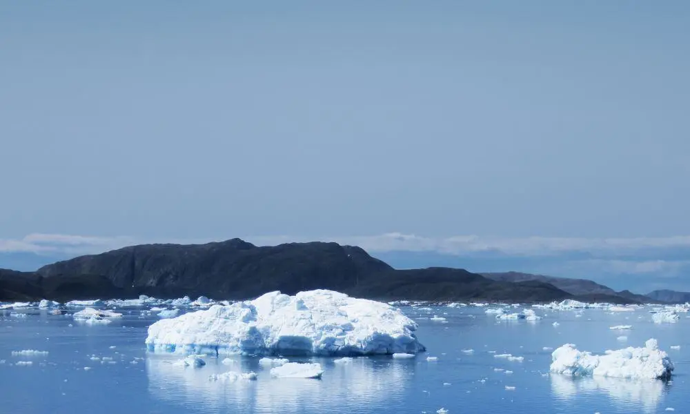 Ocean Albatros - Eisberge in Südgrönland